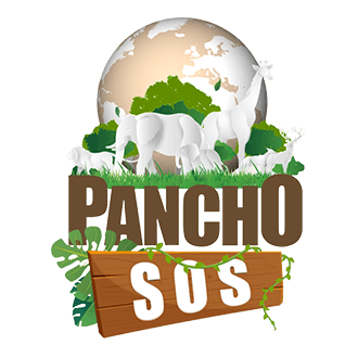 PANCHO SOS NOV/2020 - FIN